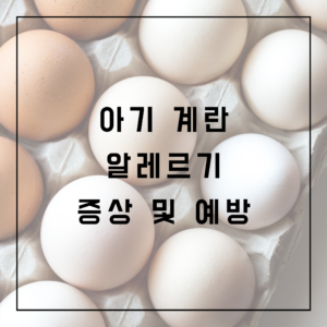 아기 계란 알레르기