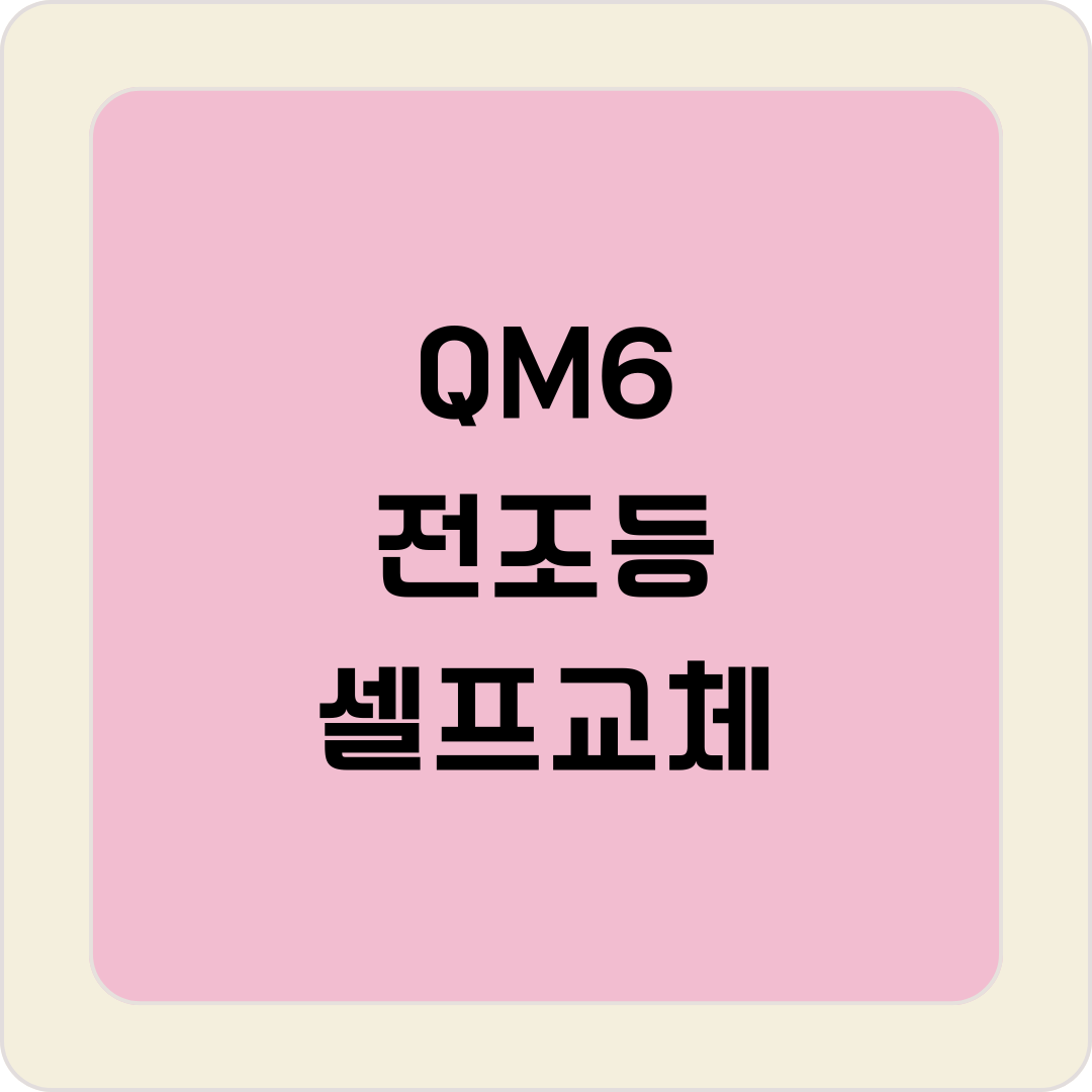 qm6 전조등 교체