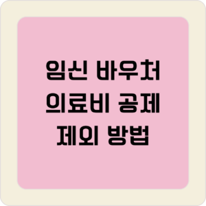 임신 바우처 의료비 공제