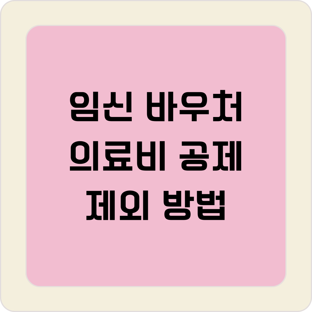 임신 바우처 의료비 공제