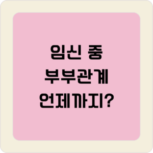 임신 중 부부관계